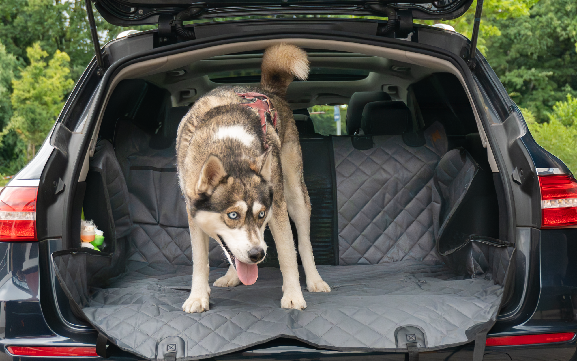 Berger DriveDry praktische Auto-Reisedecke für Hunde als