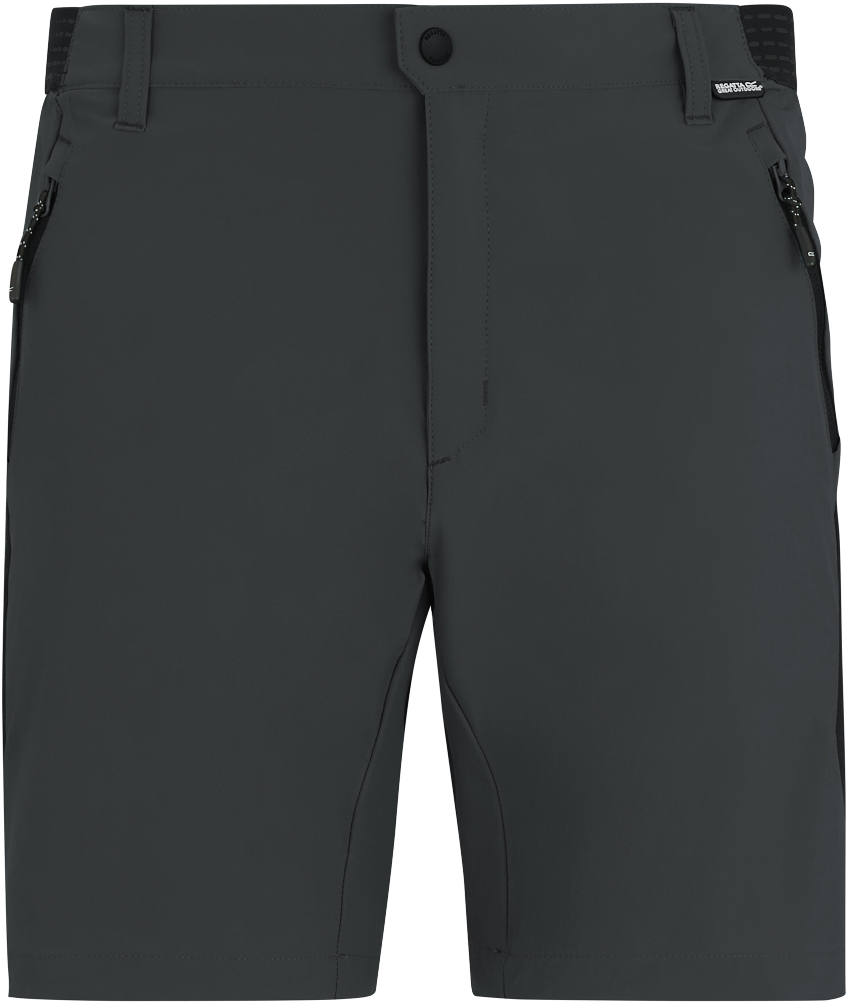 Regatta Mountain Herren Wandershorts