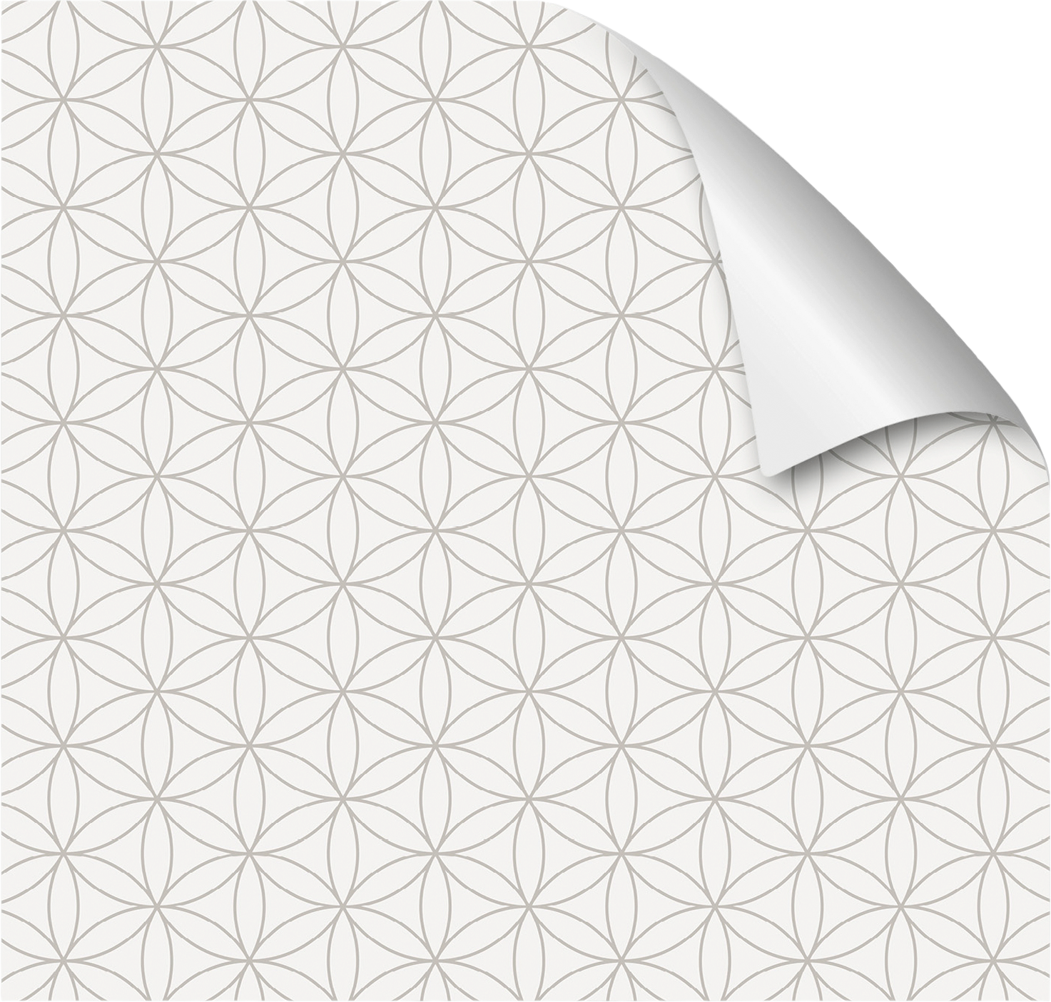 mySpotti Fresh Duschrückwandfolie 90 x 210 cm Motiv
