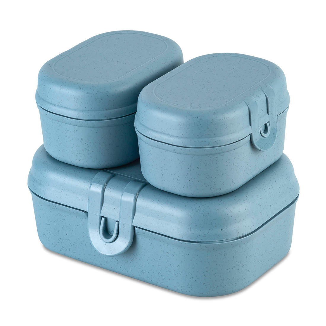 Koziol Pascal Ready Mini Lunchbox Set 3 teilig nature flower