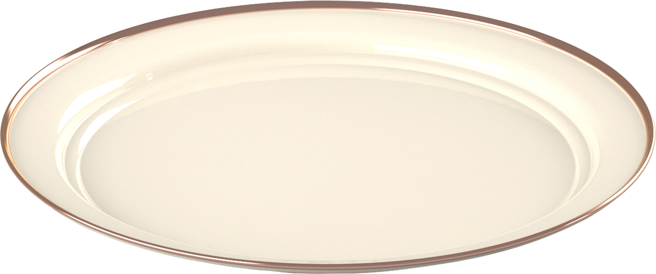 GSI MESA Emaille-Teller 26 cm