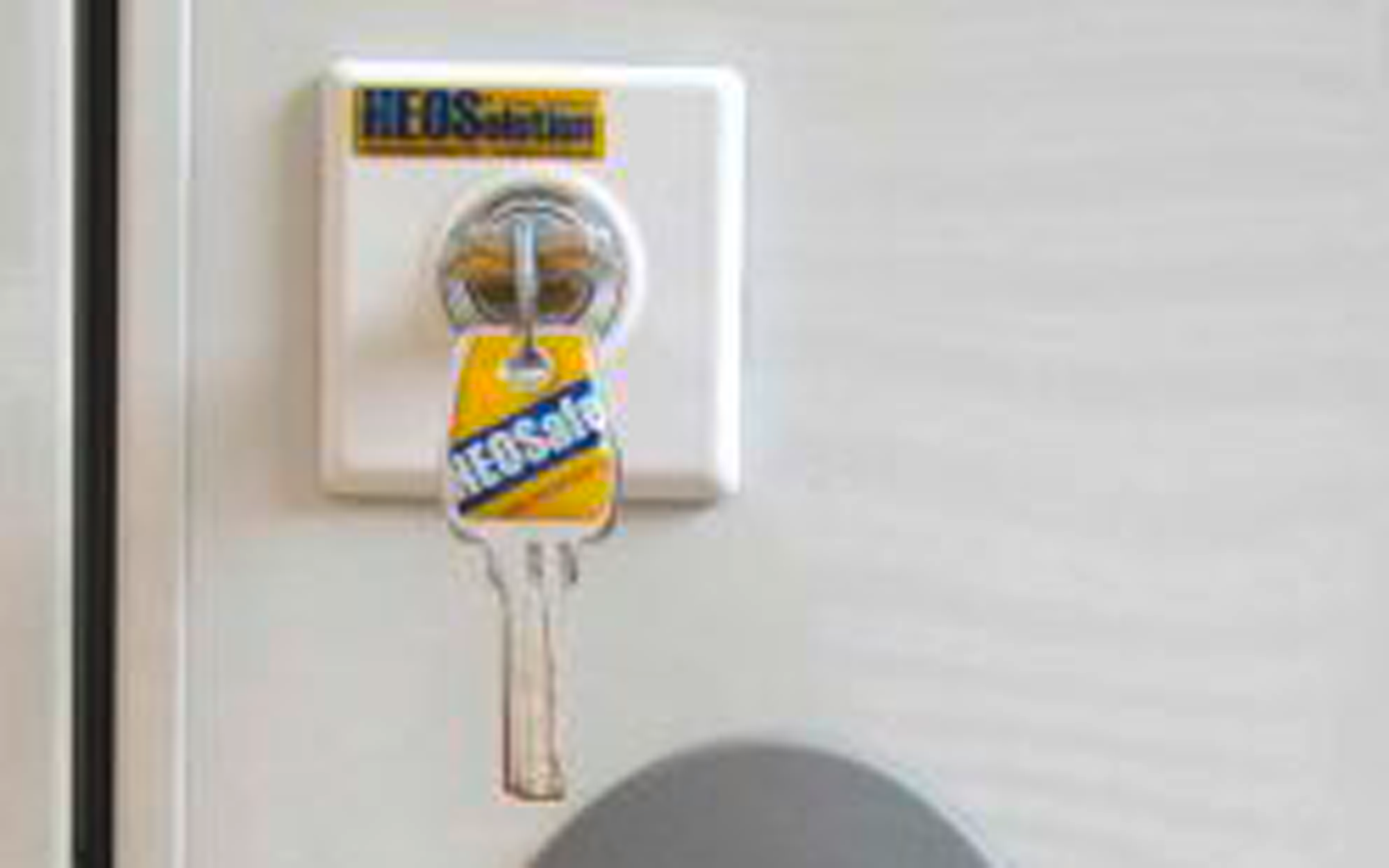 HEOSystem Paket 1 Paar Diebstahlschutzschloss und 1