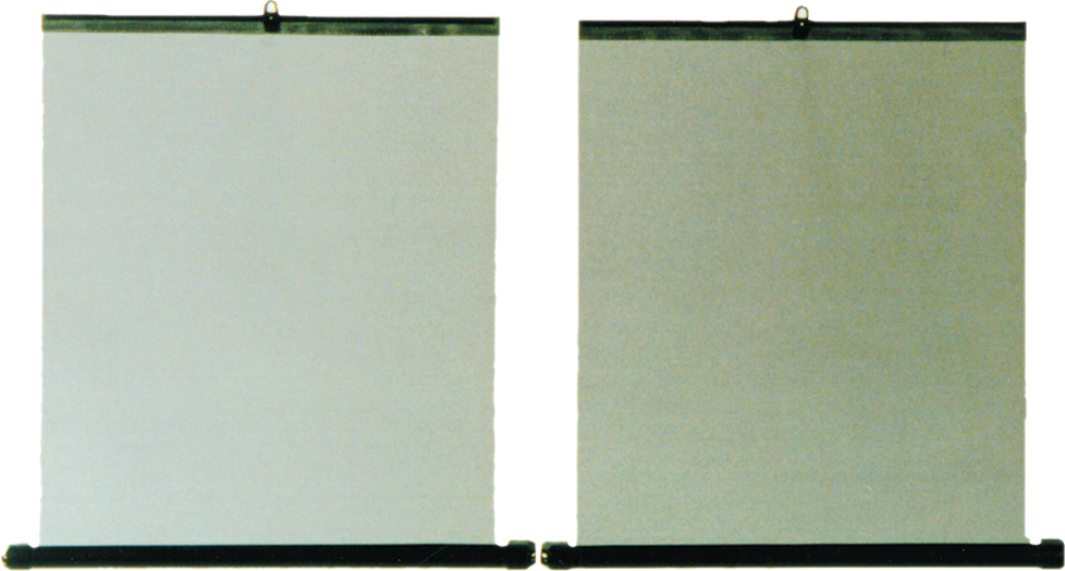 HP Autozubehör Seitenfenster Rollo universell 2 Stück 45 x 55
