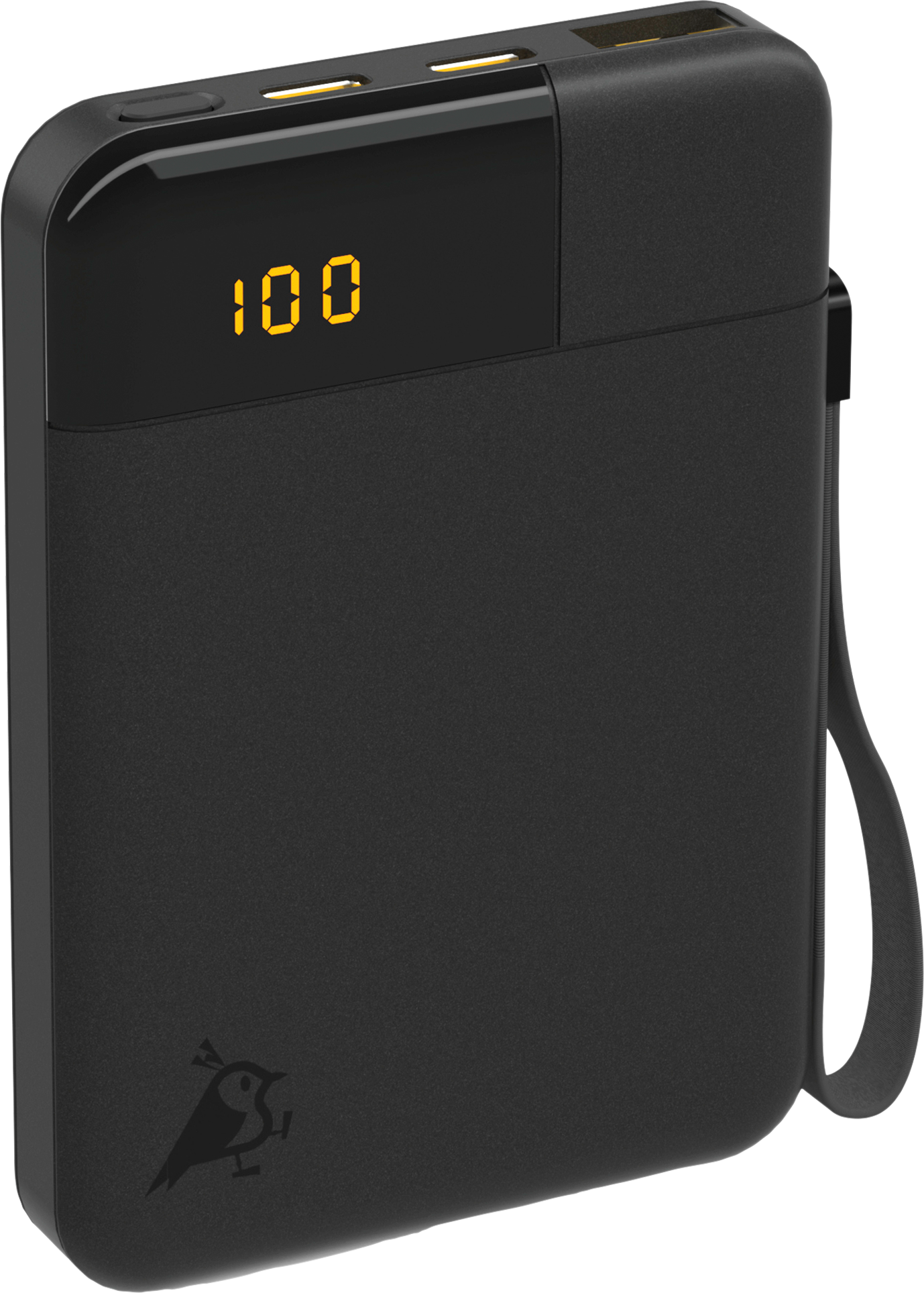 Aqiila Powerbird Powerbank 12 W 5000 mAh schwarz - Powerbanks