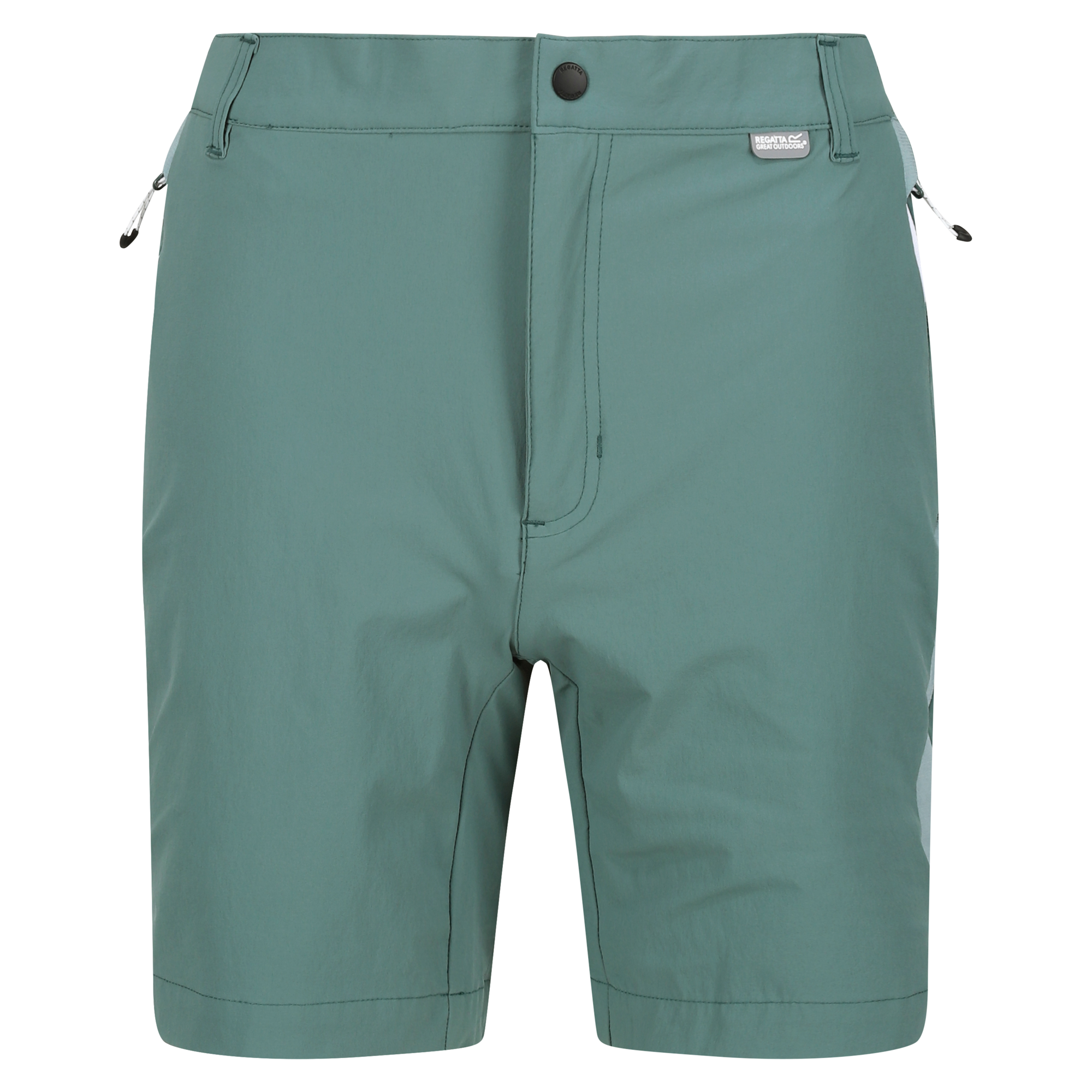 Regatta Mountain II Herrenshorts | 05063019007694