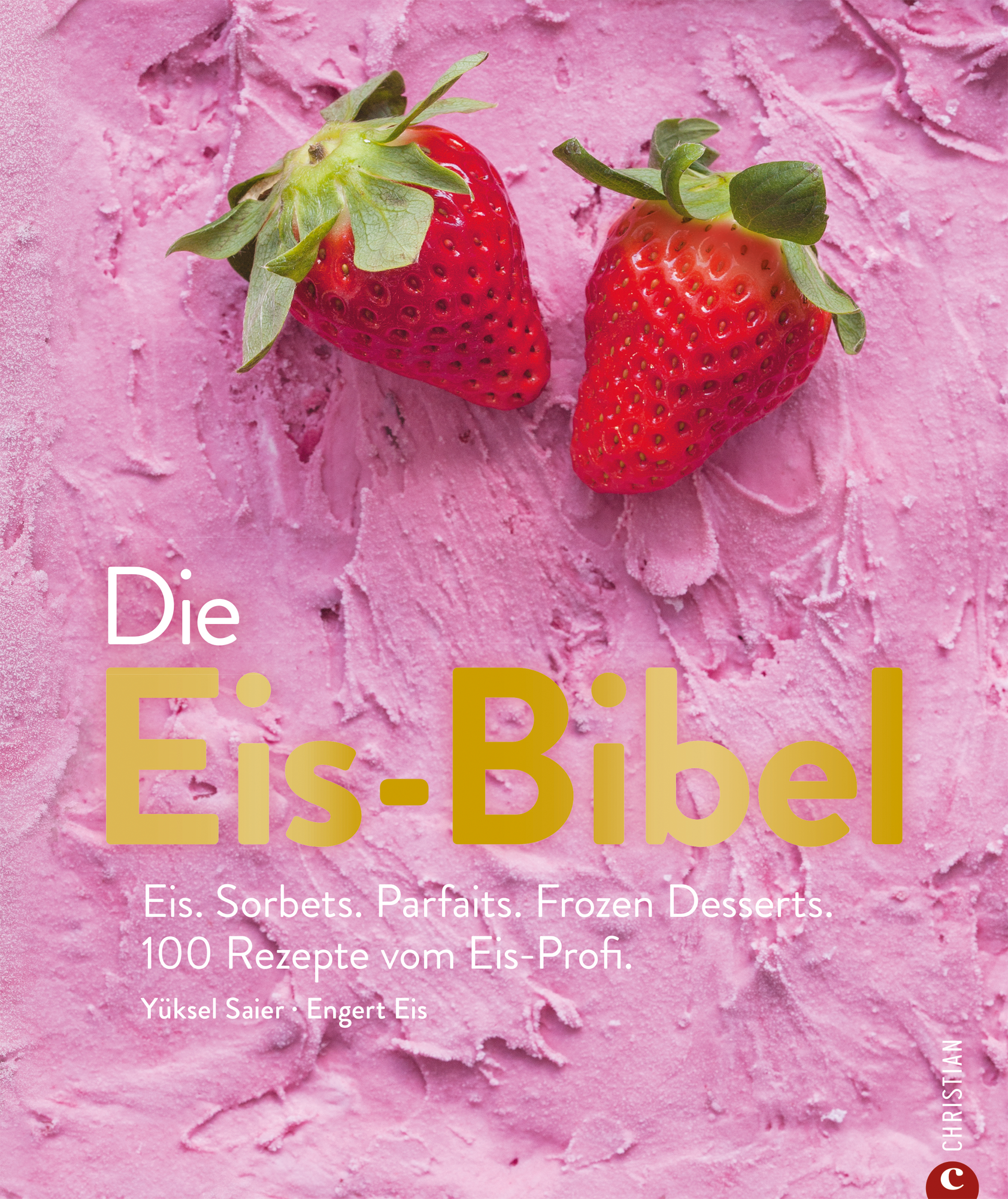 Bruckmann Die Eis-Bibel