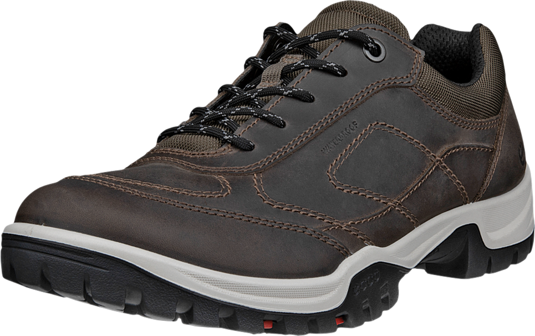 Ecco Xpedition III Herrenschuhe
