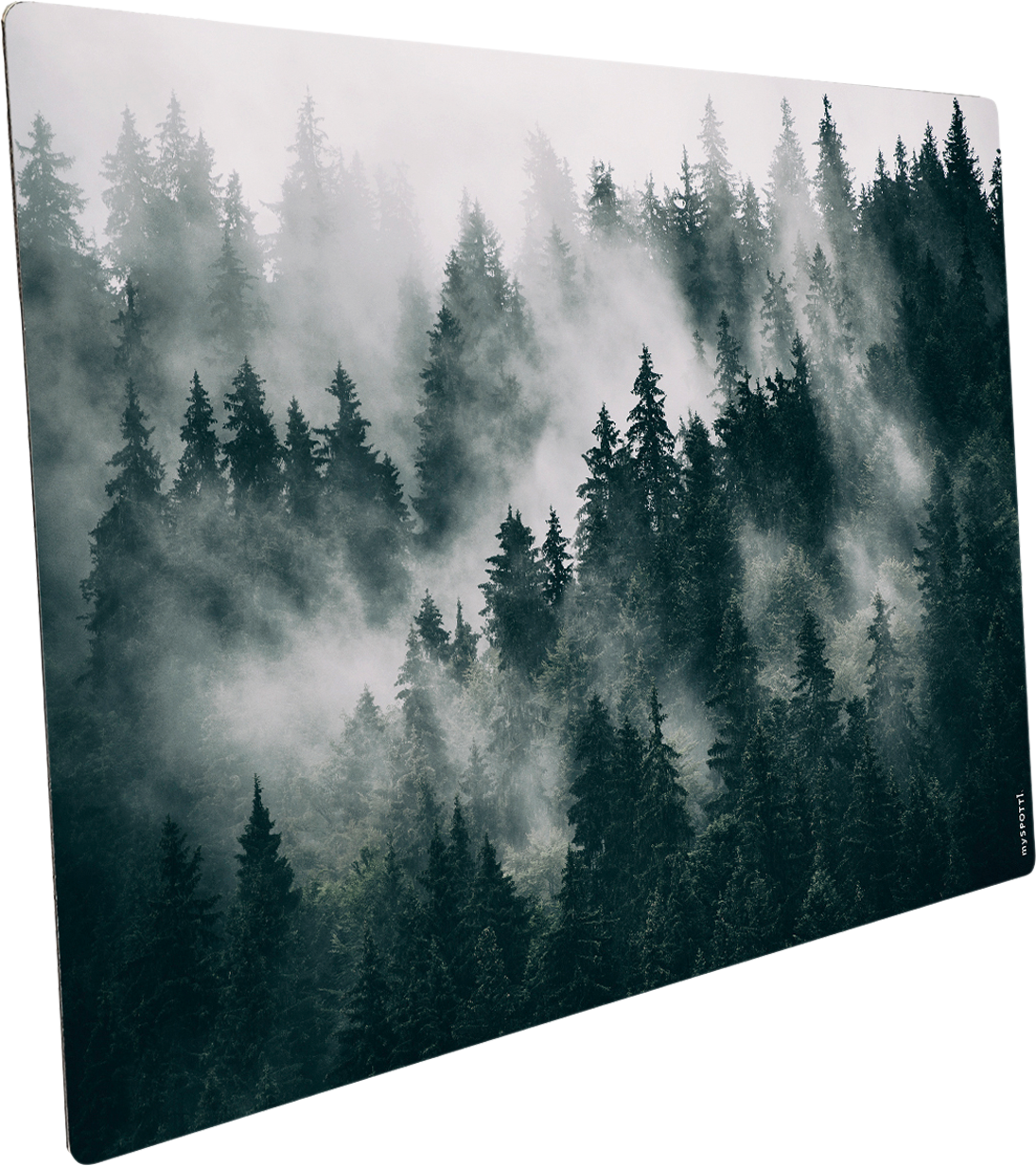 mySpotti Pop Spritzschutz für die Küche 59 x 42 cm Motiv Zea