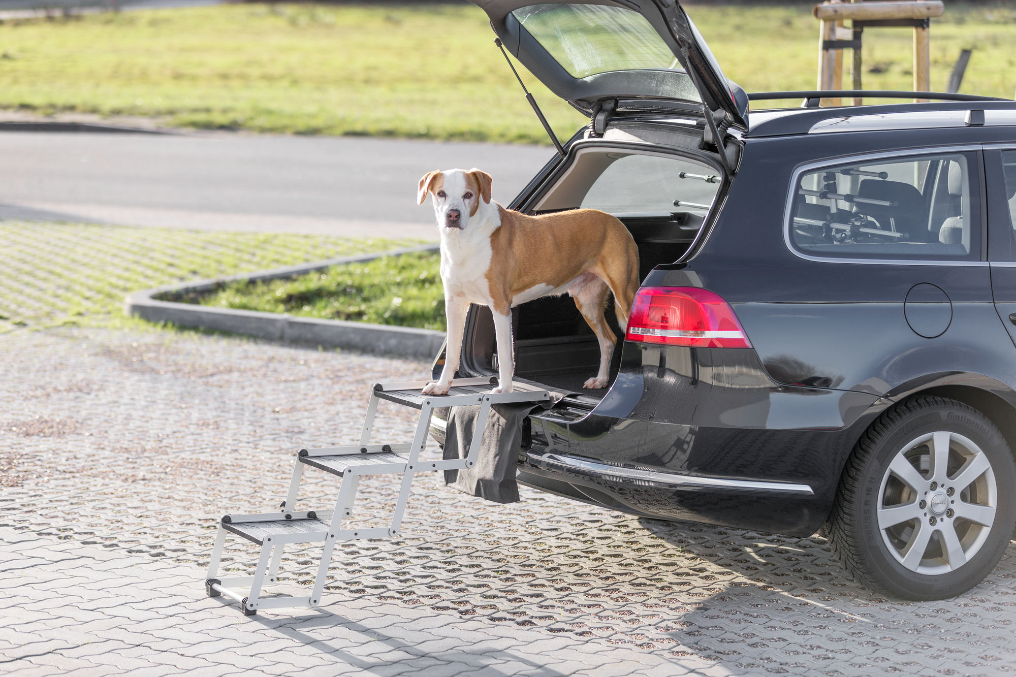 TRIXIE Aluminium Falt-Treppe für Hunde - Hundetransportboxen und Autoschutz