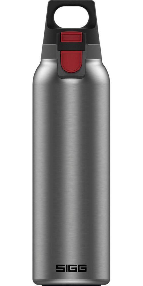 SIGG H&C ONE Trinkflasche Light brushed