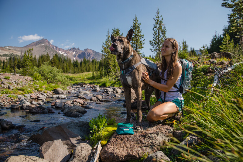 Ruffwear Quencher Hundenapf für unterwegs turnalo teal M - Hundenäpfe und Trinkflaschen